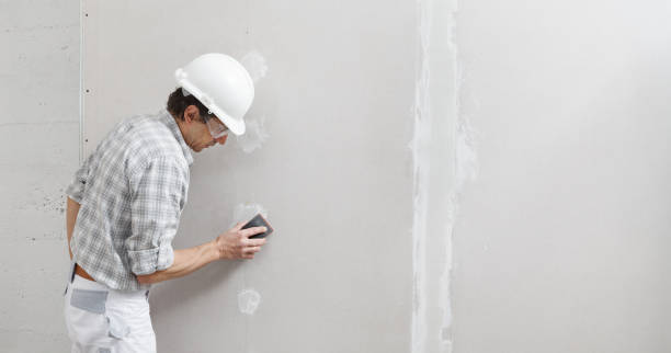 Best Mold Documentation for Insurance Claims  in Big Timber, MT