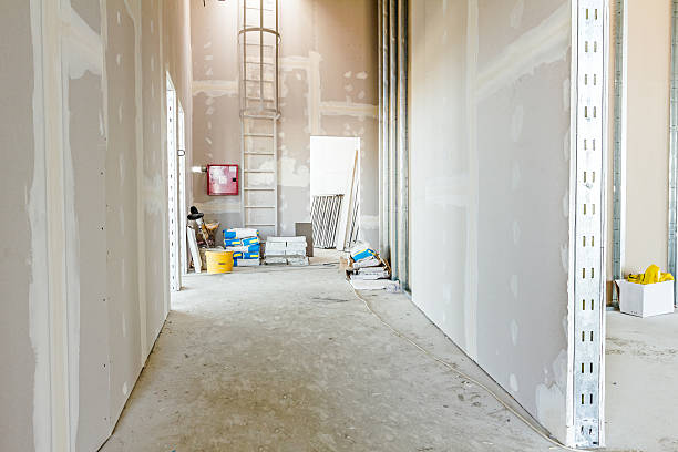 Biohazard Mold Removal in Big Timber, MT